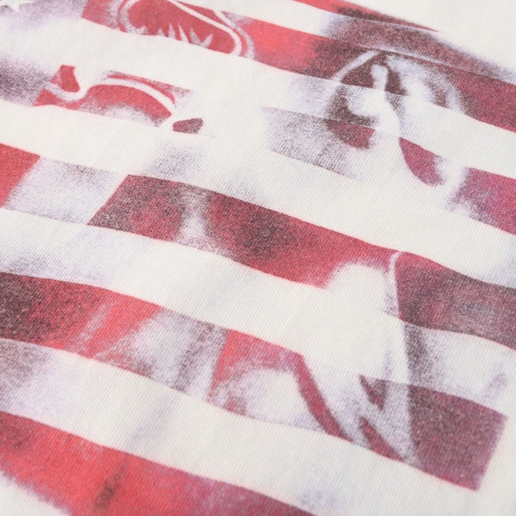 Chrome Hearts Grey White Raglan Sleeve Flag Print Long Sleeve Tee
